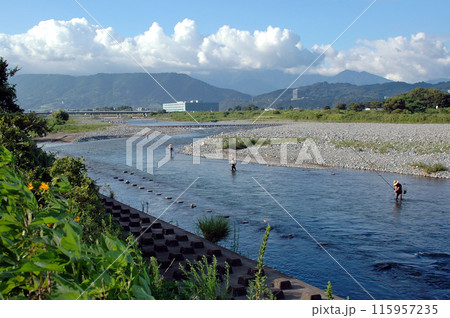 あゆ釣りで賑わう夏の酒匂川 あゆ釣りで賑わう夏の酒匂川 115957235