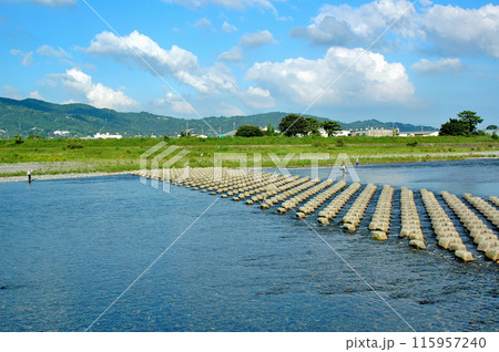 あゆ釣りで賑わう夏の酒匂川 あゆ釣りで賑わう夏の酒匂川 115957240
