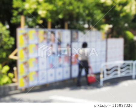 選挙ポスター掲示場・東京都知事選挙・東京都議会議員補欠選挙・イメージ 選挙ポスター掲示場・東京都知事選挙・東京都議会議員補欠選挙・イメージ 115957326