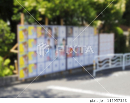 選挙ポスター掲示場・東京都知事選挙・東京都議会議員補欠選挙・イメージ 選挙ポスター掲示場・東京都知事選挙・東京都議会議員補欠選挙・イメージ 115957328