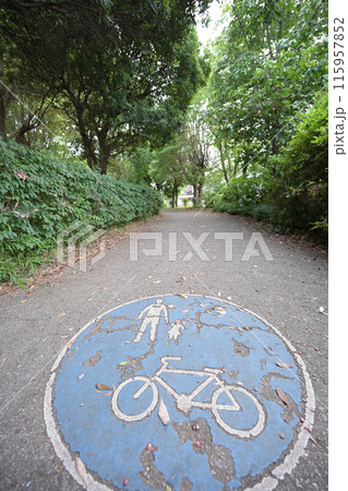 公園の遊歩道に表示された道路標識：歩行者・自転車専用 115957852