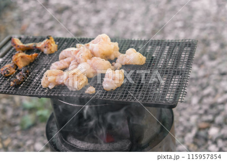 【オートキャンプ場でソロキャンプ 網で白モツを焼く】 【オートキャンプ場でソロキャンプ 網で白モツを焼く】 115957854