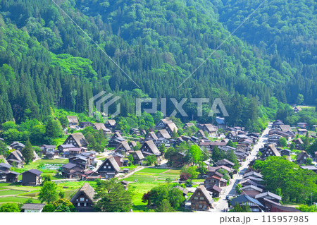 初夏 白川郷 荻町地区 初夏 白川郷 荻町地区 115957985
