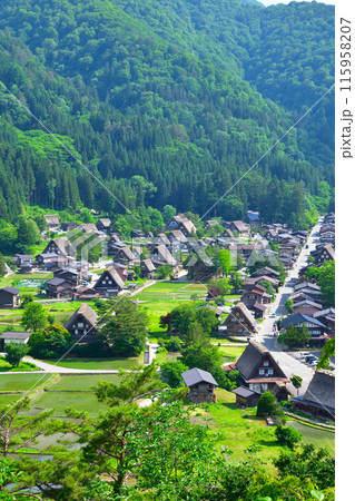 初夏 白川郷 荻町地区 初夏 白川郷 荻町地区 115958207