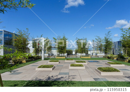 京都駅ビルの日本庭園 京都駅ビルの日本庭園 115958315