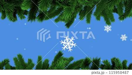 Pine branches are framing top and bottom, snowflakes falling against blue sky 115958487