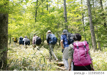 ハイキングを楽しむ男女 115958554