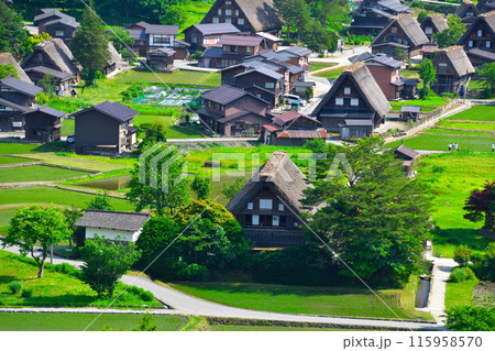 初夏　白川郷　荻町地区 115958570
