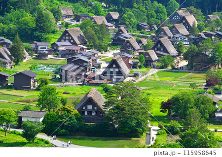 初夏　白川郷　荻町地区 115958645