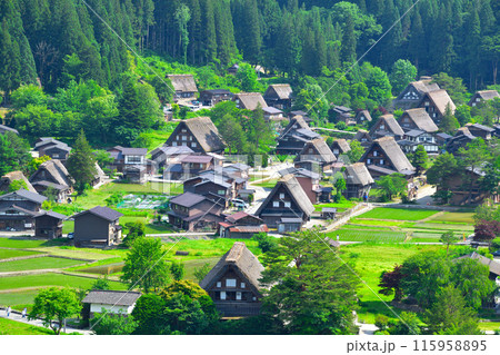 初夏 白川郷 荻町地区 初夏 白川郷 荻町地区 115958895