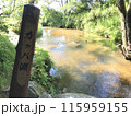 河童渕 115959155