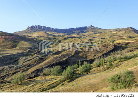 ノアの方舟 ノアの方舟 115959222