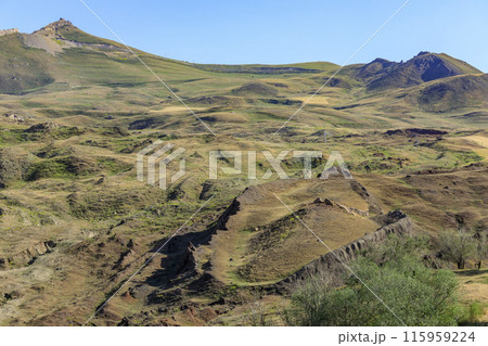 ノアの方舟 ノアの方舟 115959224