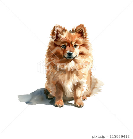 狼林（ROURIN）作 犬（ポメラニアン）の水彩画 2008年 狼林（ROURIN