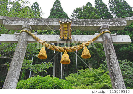 岐阜県関市モネの池の風景 115959516