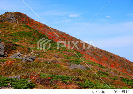 秋の栗駒山 秋の栗駒山 115959934