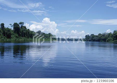 熱帯雨林　広大な河川 115960106