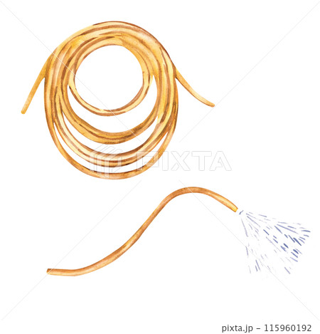 Garden watering hose watercolor Garden watering hose watercolor 115960192
