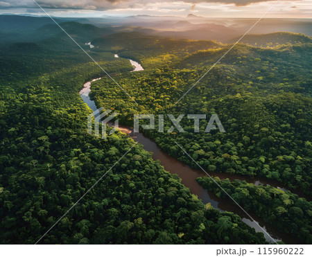 熱帯雨林 空撮 熱帯雨林 空撮 115960222