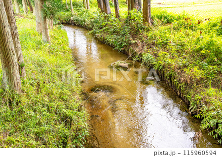 カッパ淵 115960594