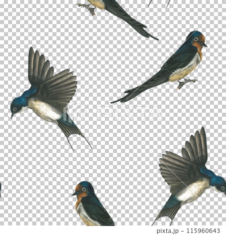 Watercolor seamless pattern of swallows. Hand-drawn, isolated on a white background. For design and printing Watercolor seamless pattern of swallows. Hand-drawn, isolated on a white background. For design and printing 115960643
