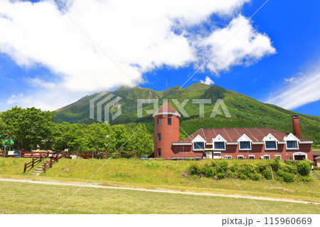 【大分県】晴天のガンジー牧場と九重連山 【大分県】晴天のガンジー牧場と九重連山 115960669