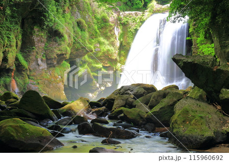 【大分県】新緑の黄牛の滝 115960692