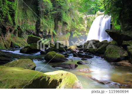 【大分県】新緑の黄牛の滝 115960694