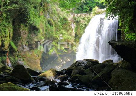 【大分県】新緑の黄牛の滝 115960698