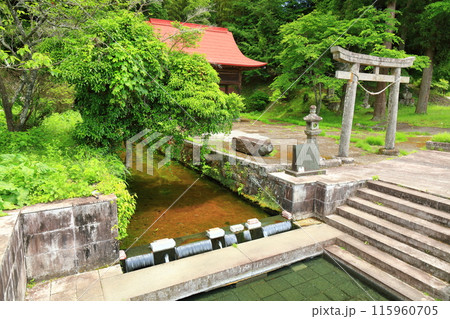 【大分県】久住老野湧水（竹田湧水群） 115960705
