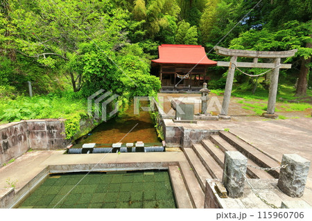 【大分県】久住老野湧水(竹田湧水群) 【大分県】久住老野湧水(竹田湧水群) 115960706