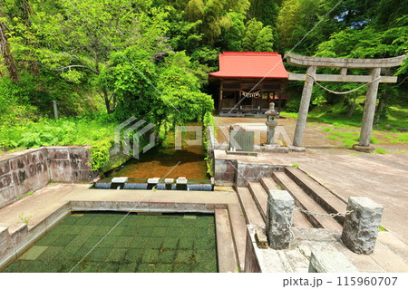【大分県】久住老野湧水(竹田湧水群) 【大分県】久住老野湧水(竹田湧水群) 115960707