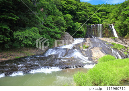【大分県】晴天の新緑龍門の滝 【大分県】晴天の新緑龍門の滝 115960712