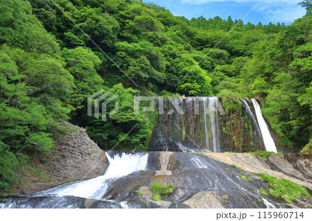 【大分県】晴天の新緑龍門の滝　 115960714
