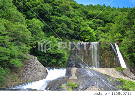 【大分県】晴天の新緑龍門の滝　 115960715
