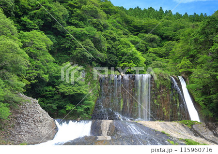 【大分県】晴天の新緑龍門の滝　 115960716