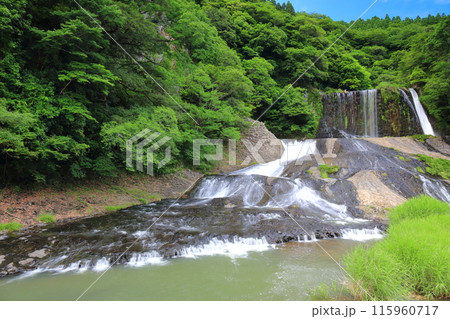 【大分県】晴天の新緑龍門の滝　 115960717