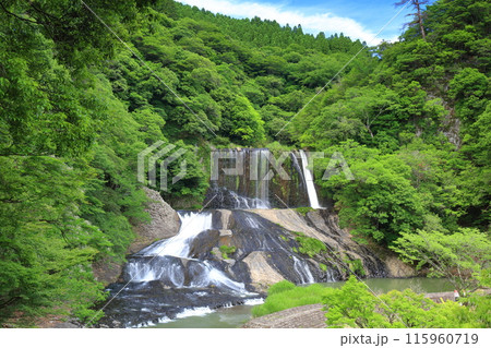 【大分県】晴天の新緑龍門の滝 【大分県】晴天の新緑龍門の滝 115960719