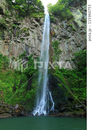 【大分県】東椎屋の滝（日本の滝百選） 115960755