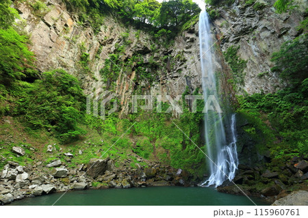【大分県】東椎屋の滝(日本の滝百選) 【大分県】東椎屋の滝(日本の滝百選) 115960761