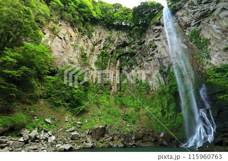 【大分県】東椎屋の滝（日本の滝百選） 115960763