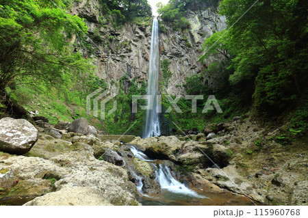【大分県】東椎屋の滝（日本の滝百選） 115960768