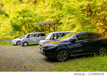 泉山、中林の滝コース登山口の駐車場(岡山県苫田郡鏡野町)※作品コメント欄に撮影位置 泉山、中林の滝コース登山口の駐車場(岡山県苫田郡鏡野町)※作品コメント欄に撮影位置 115960816