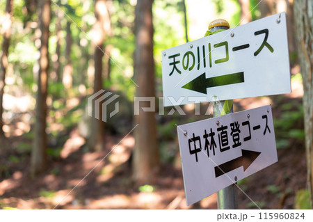 泉山、天の川コースの看板（岡山県苫田郡鏡野町)※作品コメント欄に撮影位置 115960824