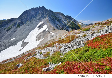 紅葉の北アルプス　立山連峰縦走 115961108