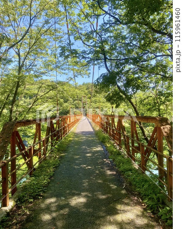 夏の吊り橋 夏の吊り橋 115961460