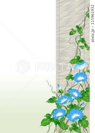 朝顔 簾 水色 朝顔 簾 水色 115961932