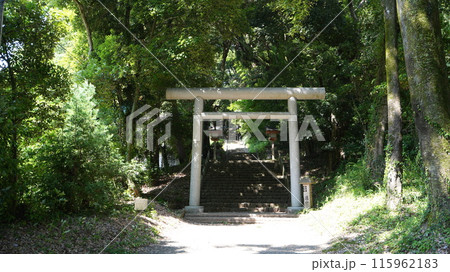 宮崎県高千穂町の天岩戸神社の東本宮 宮崎県高千穂町の天岩戸神社の東本宮 115962183