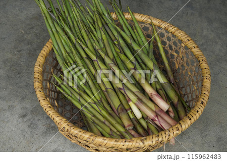 収穫したたくさんの根曲がり竹 収穫したたくさんの根曲がり竹 115962483