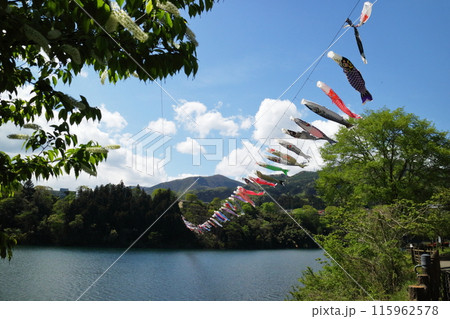 赤谷湖の鯉のぼり 115962578